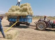 Tarımın feryadı büyüyor! Kazanan yine lobiler, kaybeden çiftçi oluyor