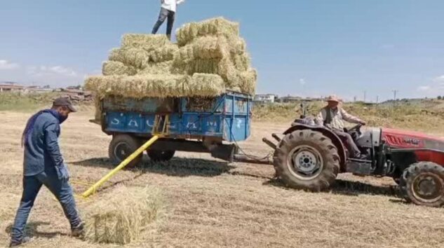 Tarımın feryadı büyüyor! Kazanan yine lobiler, kaybeden çiftçi oluyor