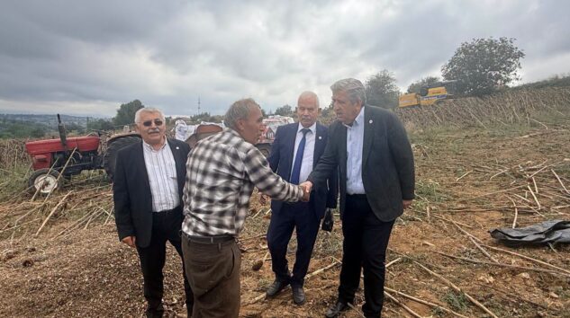 Ayçiçeği üreticisi şimdi ne yapacak?