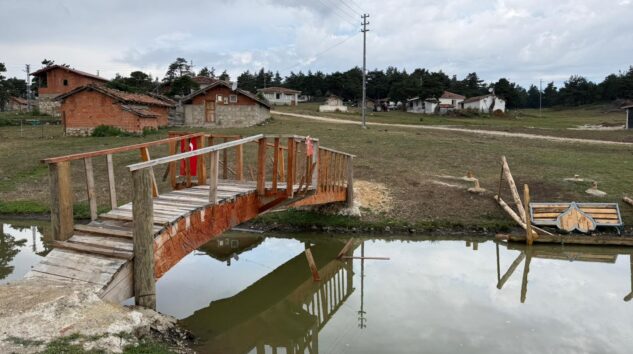 Vezirköprü’de yaylada tepki çeken görüntü! Jandarmaya başvurdular