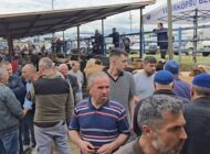 Canlı hayvan pazarları geçici süreyle kapatıldı